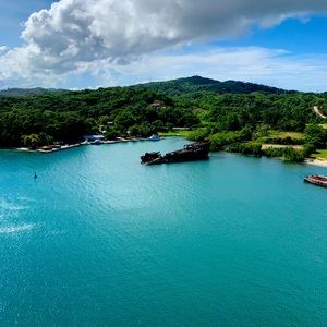 Meet your Posher, Tasha